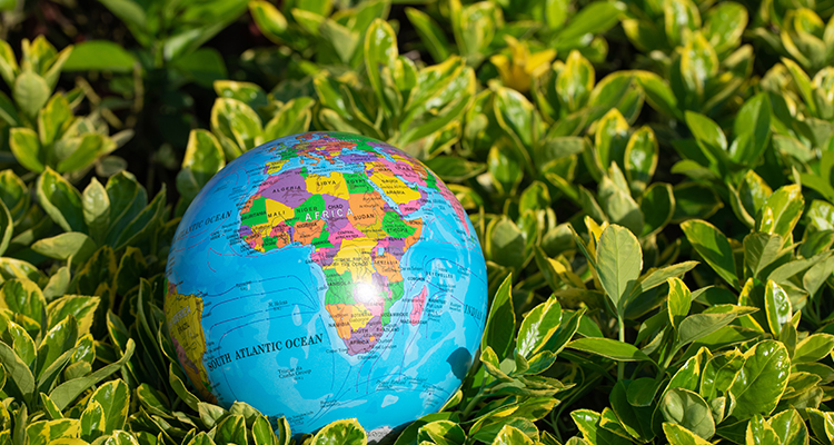 .HANGZHOU RENMIN ECO-TECH CO.,LTD